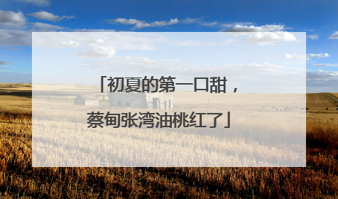 初夏的第一口甜，蔡甸张湾油桃红了