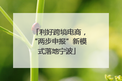 利好跨境电商，“两步申报”新模式落地宁波