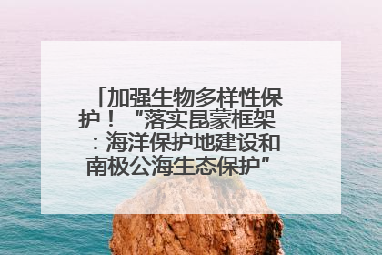 加强生物多样性保护！“落实昆蒙框架：海洋保护地建设和南极公海生态保护”主题论坛将举办