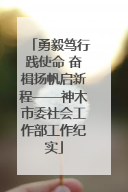 勇毅笃行践使命 奋楫扬帆启新程——神木市委社会工作部工作纪实