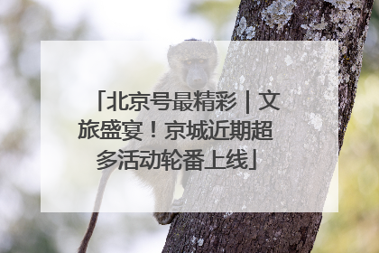 北京号最精彩｜文旅盛宴！京城近期超多活动轮番上线