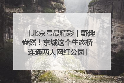 北京号最精彩｜野趣盎然！京城这个生态桥连通两大网红公园