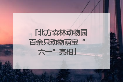 北方森林动物园百余只动物萌宝“六一”亮相
