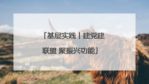 基层实践丨建党建联盟 聚振兴功能