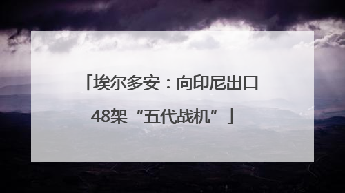 埃尔多安：向印尼出口48架“五代战机”