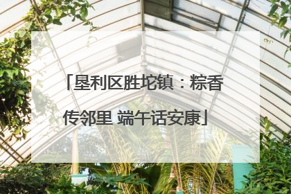垦利区胜坨镇：粽香传邻里 端午话安康