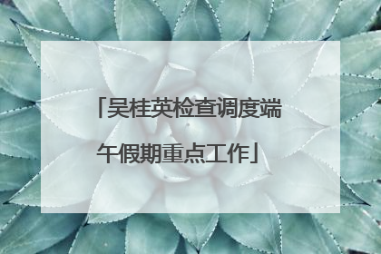 吴桂英检查调度端午假期重点工作