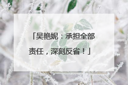 吴艳妮：承担全部责任，深刻反省！