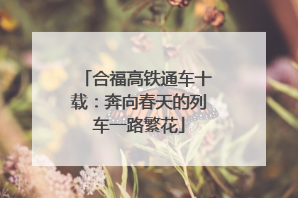合福高铁通车十载：奔向春天的列车一路繁花