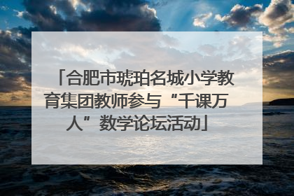 合肥市琥珀名城小学教育集团教师参与“千课万人”数学论坛活动