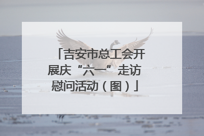 吉安市总工会开展庆“六一”走访慰问活动（图）