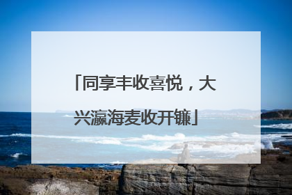 同享丰收喜悦，大兴瀛海麦收开镰