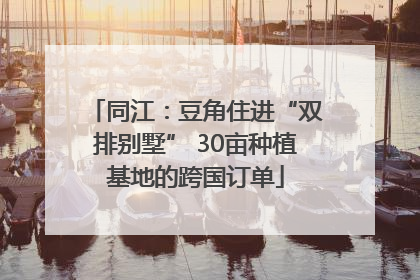 同江：豆角住进“双排别墅” 30亩种植基地的跨国订单