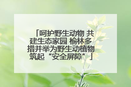 呵护野生动物 共建生态家园 榆林多措并举为野生动植物筑起“安全屏障”