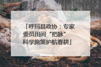 呼玛县政协：专家委员田间“把脉” 科学施策护航春耕