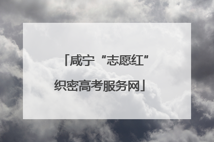咸宁“志愿红”织密高考服务网