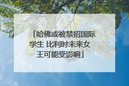 哈佛或被禁招国际学生 比利时未来女王可能受影响