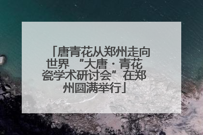 唐青花从郑州走向世界 “大唐・青花瓷学术研讨会”在郑州圆满举行