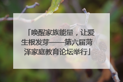 唤醒家族能量，让爱生根发芽——第六届菏泽家庭教育论坛举行