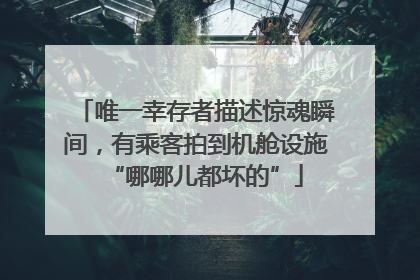 唯一幸存者描述惊魂瞬间，有乘客拍到机舱设施“哪哪儿都坏的”