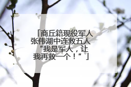 商丘籍现役军人张伟湖中连救五人 “我是军人，让我再救一个！”