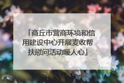 商丘市营商环境和信用建设中心开展麦收帮扶慰问活动暖人心