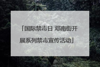 国际禁毒日 邓南街开展系列禁毒宣传活动