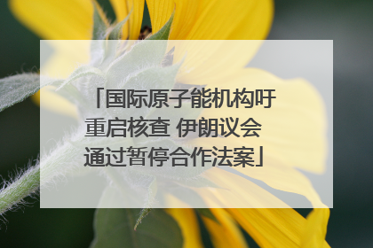 国际原子能机构吁重启核查 伊朗议会通过暂停合作法案