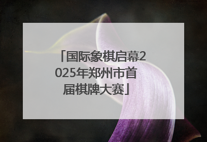 国际象棋启幕2025年郑州市首届棋牌大赛