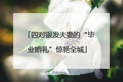 四对银发夫妻的“毕业婚礼”惊艳全城