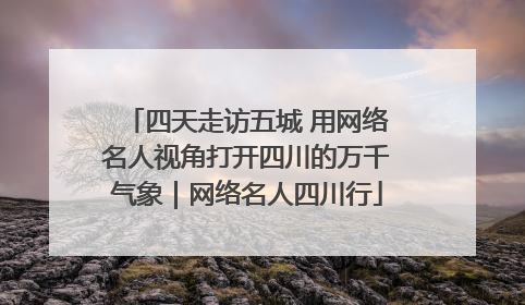 四天走访五城 用网络名人视角打开四川的万千气象｜网络名人四川行