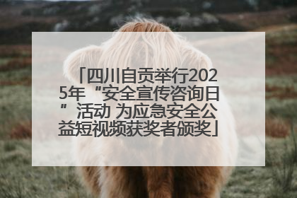 四川自贡举行2025年“安全宣传咨询日”活动 为应急安全公益短视频获奖者颁奖