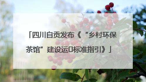 四川自贡发布《“乡村环保茶馆”建设运⾏标准指引》