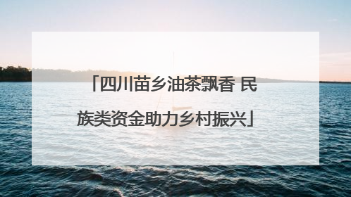 四川苗乡油茶飘香 民族类资金助力乡村振兴