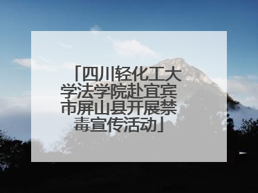 四川轻化工大学法学院赴宜宾市屏山县开展禁毒宣传活动
