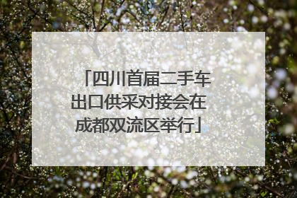 四川首届二手车出口供采对接会在成都双流区举行