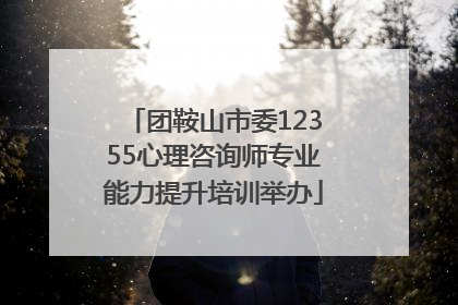 团鞍山市委12355心理咨询师专业能力提升培训举办