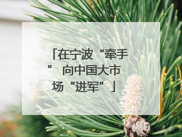 在宁波“牵手” 向中国大市场“进军”