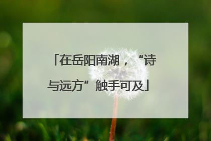 在岳阳南湖，“诗与远方”触手可及