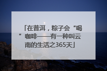 在普洱，粽子会“喝”咖啡——有一种叫云南的生活之365天