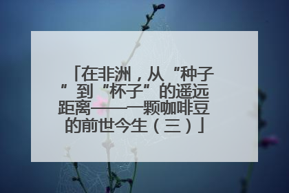 在非洲，从“种子”到“杯子”的遥远距离——一颗咖啡豆的前世今生（三）