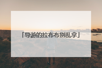 导游的拉布布别乱拿