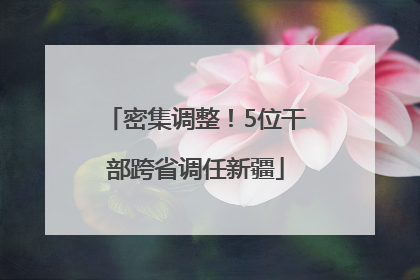 密集调整！5位干部跨省调任新疆