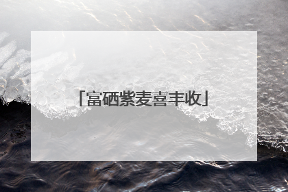富硒紫麦喜丰收