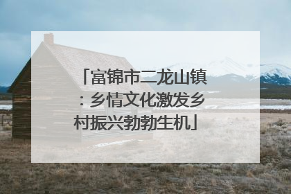 富锦市二龙山镇：乡情文化激发乡村振兴勃勃生机