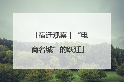 宿迁观察｜“电商名城”的跃迁