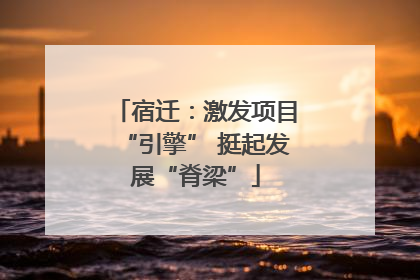 宿迁：激发项目“引擎” 挺起发展“脊梁”
