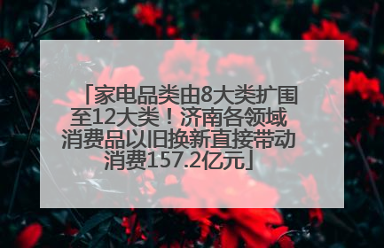 家电品类由8大类扩围至12大类！济南各领域消费品以旧换新直接带动消费157.2亿元