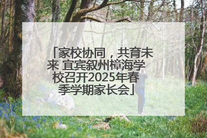 家校协同，共育未来 宜宾叙州樟海学校召开2025年春季学期家长会