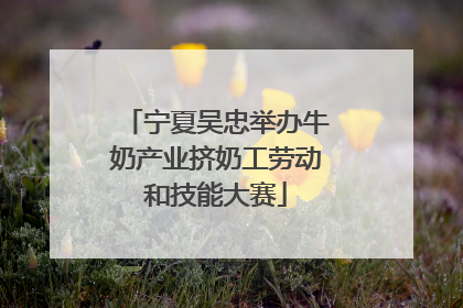宁夏吴忠举办牛奶产业挤奶工劳动和技能大赛